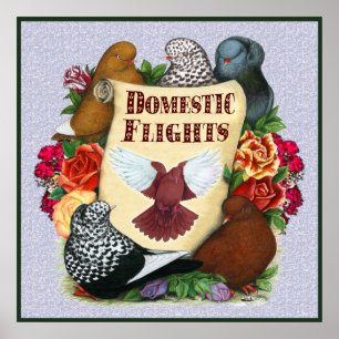 Domestic Flight Scroll Poster