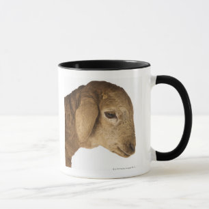 Domestic lamb mug