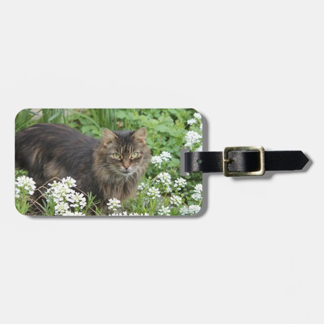 Domestic Long-Haired Cat Luggage Tag (Front Horizontal)