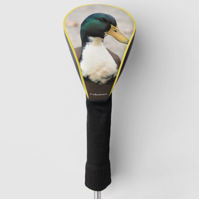 Domestic Mallard Duclair Bibbed Odd Duck Golf Head Cover (Front)