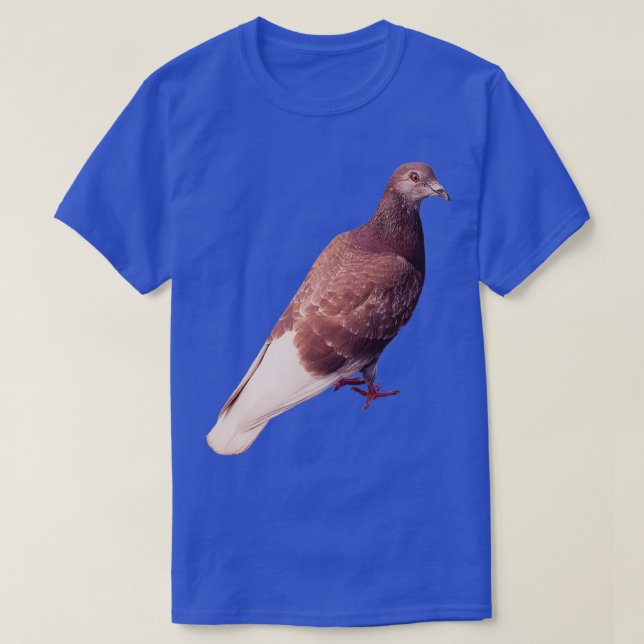 Domestic Pigeon 4 T-Shirt (Design Front)