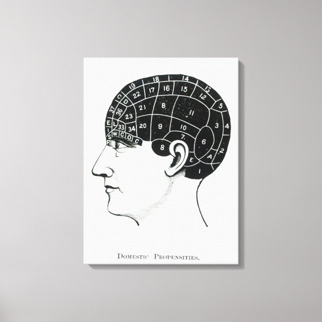 Domestic Propensities Canvas Print (Front)
