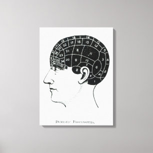 Domestic Propensities Canvas Print