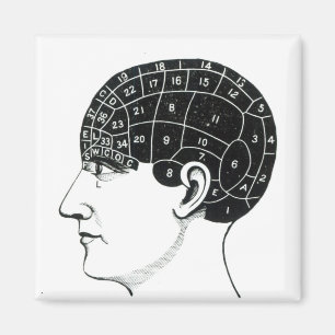 Domestic Propensities Magnet