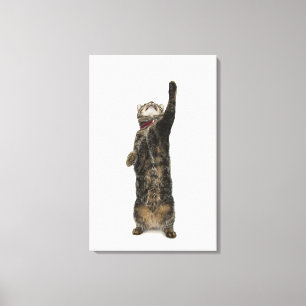 Domestic tabby cat standing on two legs reaching canvas print