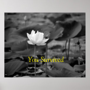 Domestic Violence Advocacy Posters I