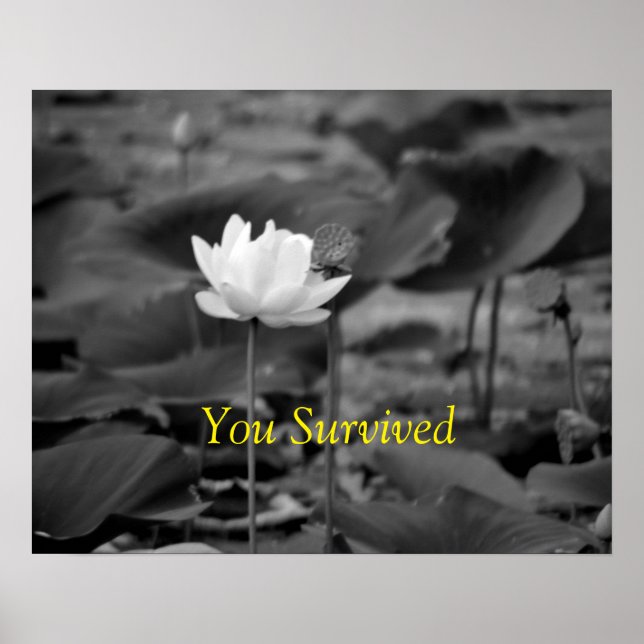 Domestic Violence Advocacy Posters I (Front)