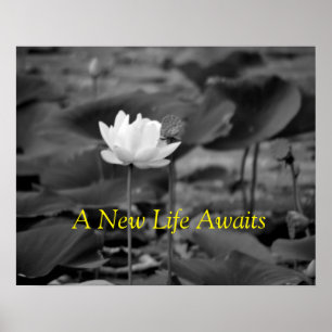 Domestic Violence Advocacy Posters III