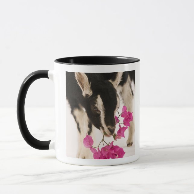 Domesticated British Alpine goat (kid). Black Mug (Left)