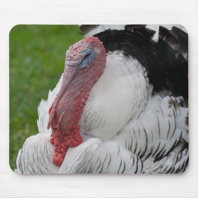 Domesticated Turkey Mouse Mat (Front)