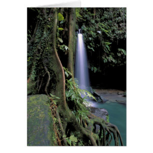 Dominica, Emerald Pool, Waterfall.
