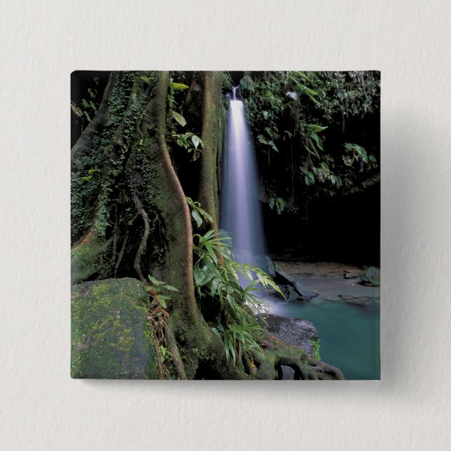 Dominica, Emerald Pool, Waterfall. 15 Cm Square Badge (Front)