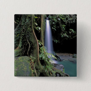 Dominica, Emerald Pool, Waterfall. 15 Cm Square Badge