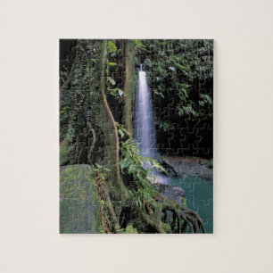Dominica, Emerald Pool, Waterfall. Jigsaw Puzzle