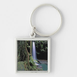 Dominica, Emerald Pool, Waterfall. Key Ring