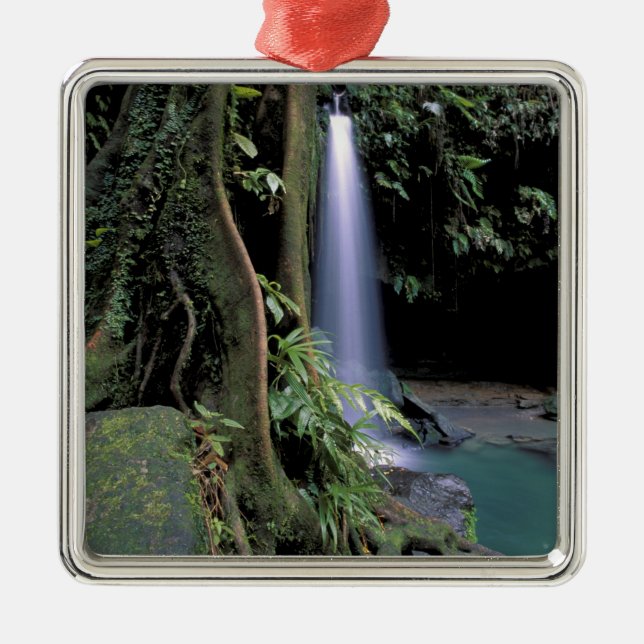 Dominica, Emerald Pool, Waterfall. Metal Tree Decoration (Front)