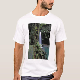 Dominica, Emerald Pool, Waterfall. T-Shirt