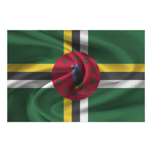 Dominica Flag Photo Print
