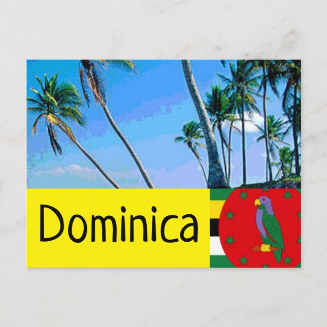 Dominica flag with tropical palm trees postcard (Front)