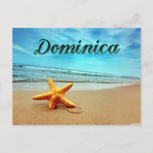 Dominica starfish postcard