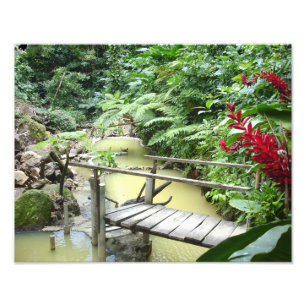 Dominica Sulpher pools Photo Print