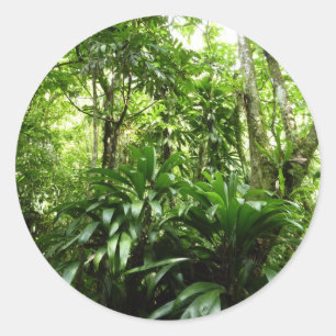 Dominican Rain Forest I Tropical Green Nature Classic Round Sticker