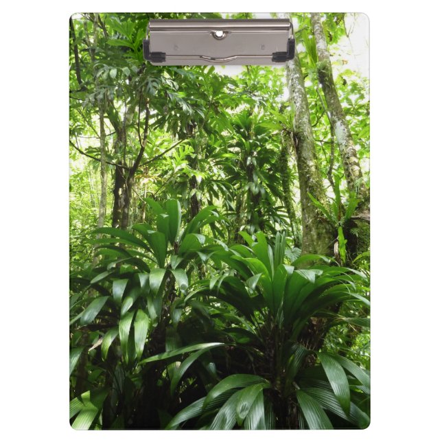 Dominican Rain Forest I Tropical Green Nature Clipboard (Front)
