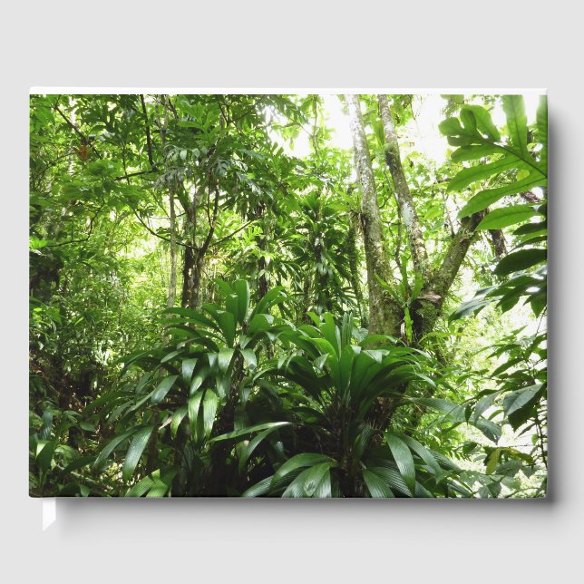 Dominican Rain Forest I Tropical Green Nature Guest Book (Front)