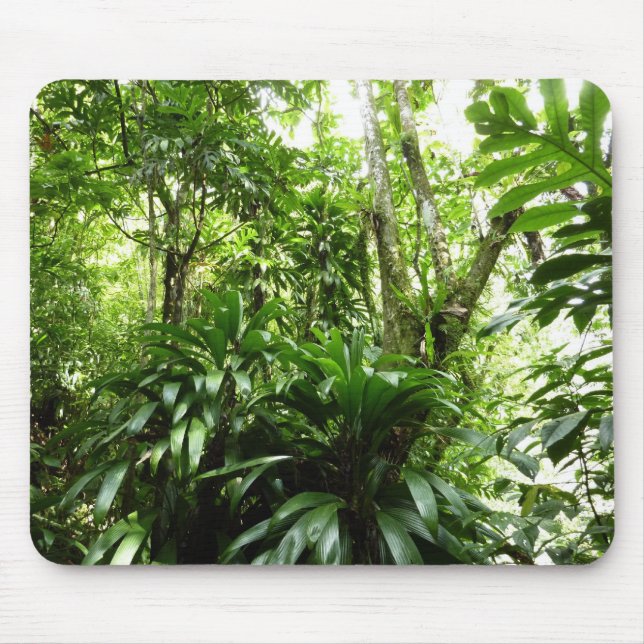 Dominican Rain Forest I Tropical Green Nature Mouse Mat (Front)