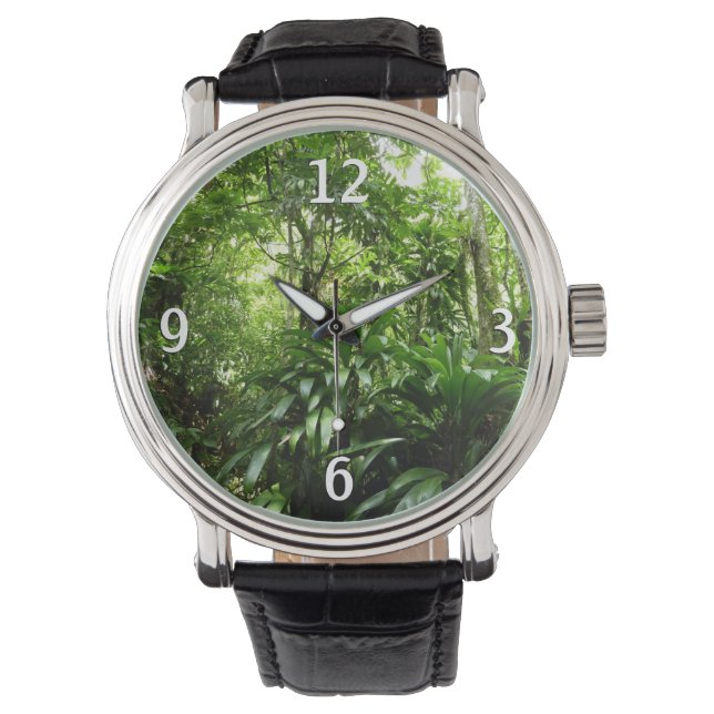 Dominican Rain Forest I Tropical Green Nature Watch (Front)