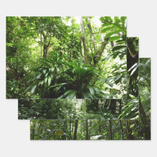 Dominican Rain Forest I Tropical Green Nature Wrapping Paper Sheet