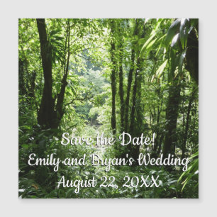 Dominican Rain Forest II Tropical Green