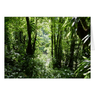 Dominican Rain Forest II Tropical Green