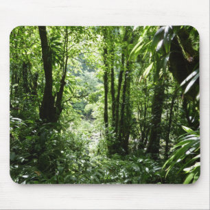 Dominican Rain Forest II Tropical Green Mouse Mat