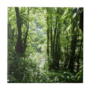 Dominican Rain Forest II Tropical Green Tile