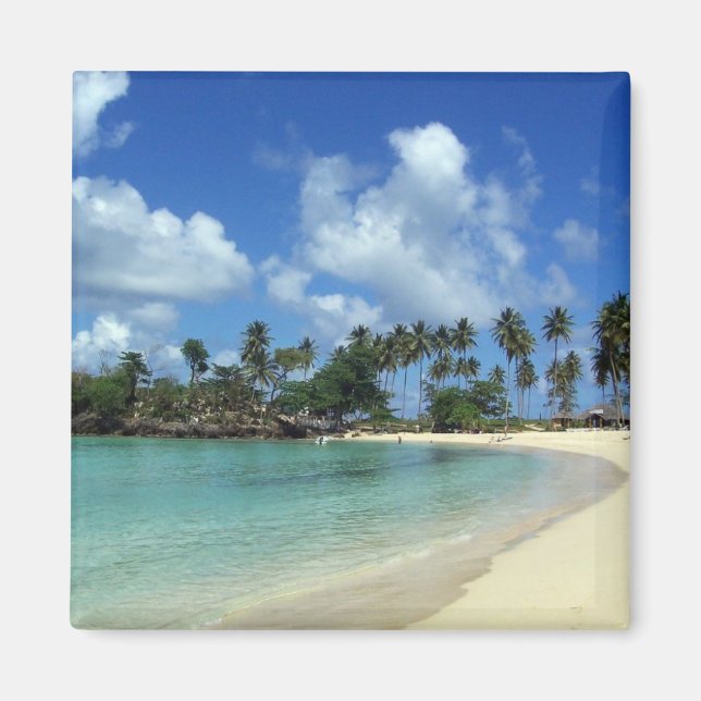 Dominican Republic Beach Magnet (Front)