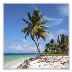 Dominican Republic beach Photo Print