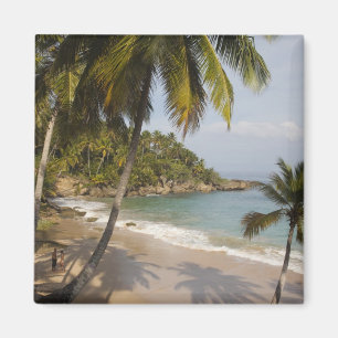 Dominican Republic, North Coast, Abreu, Playa 3 Magnet