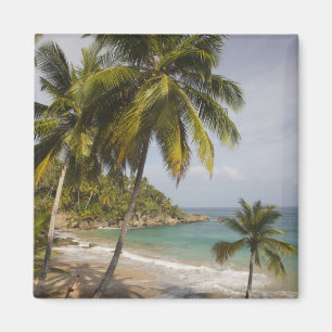 Dominican Republic, North Coast, Abreu, Playa Magnet