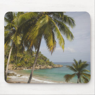 Dominican Republic, North Coast, Abreu, Playa Mouse Mat