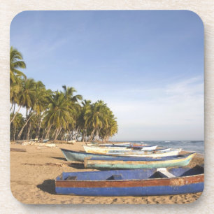Dominican Republic, North Coast, Nagua, Playa Coaster