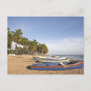 Dominican Republic, North Coast, Nagua, Playa Postcard