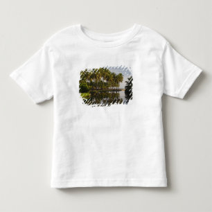 Dominican Republic, North Coast, Nagua, Playa Toddler T-Shirt