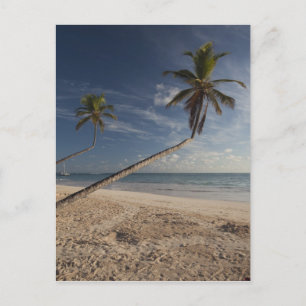 Dominican Republic, Punta Cana Region, Bavaro, 4 Postcard