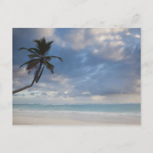 Dominican Republic, Punta Cana Region, Bavaro, 6 Postcard