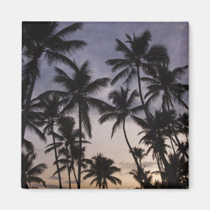 Dominican Republic, Samana Peninsula, Las 2 Magnet