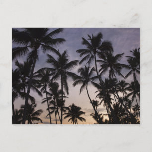 Dominican Republic, Samana Peninsula, Las 2 Postcard