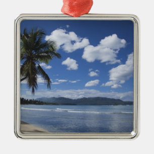Dominican Republic, Samana Peninsula, Las 4 Metal Tree Decoration