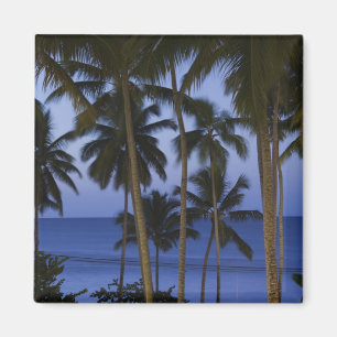 Dominican Republic, Samana Peninsula, Las Magnet