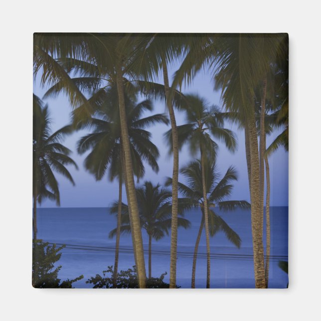 Dominican Republic, Samana Peninsula, Las Magnet (Front)
